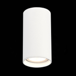 ST157.532.15 Светильник потолочный Белый LED 1*15W 3000K 1 200Lm Ra&gt;90 60° IP44 D75xH140 220-265V
