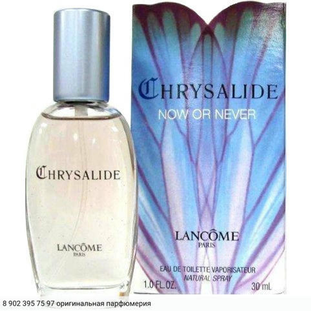 Chrysalide Now or Never