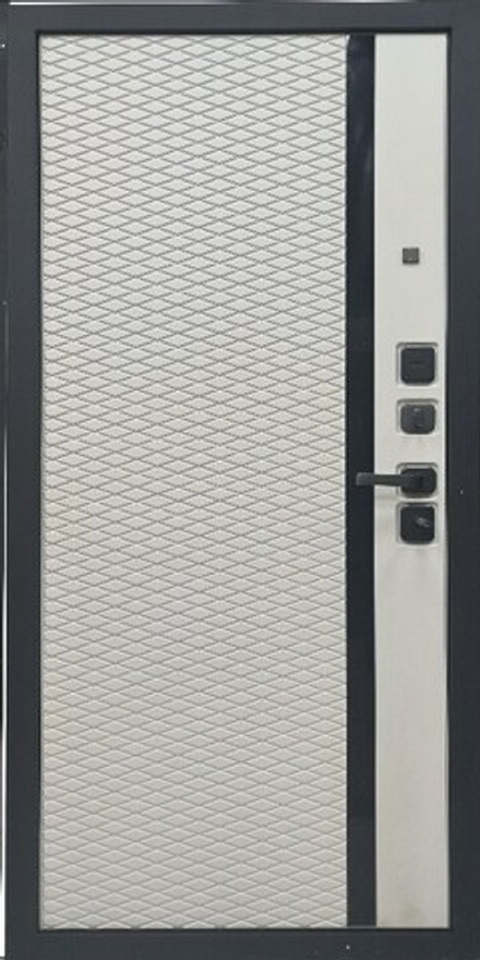 Дверь входная STR-60