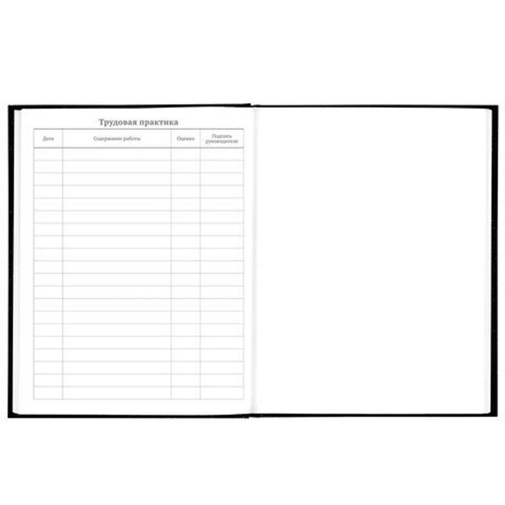 Дневник 5-11 класс 48 л., твердый, BRAUBERG, фольга, с подсказом, "Бабочка", 106638