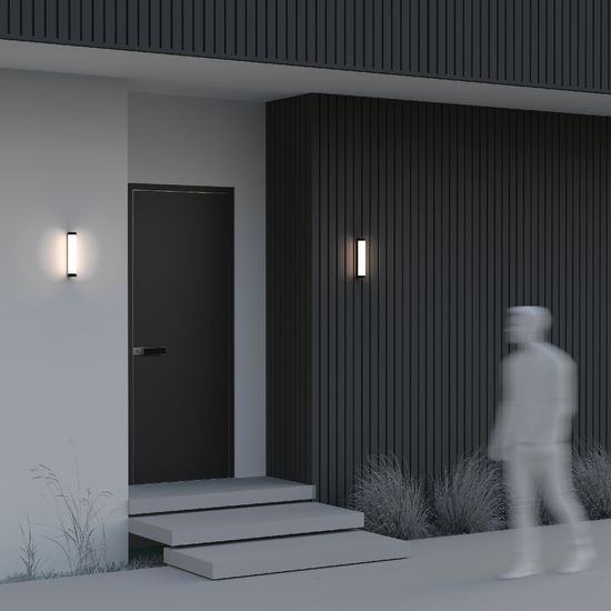 Уличный настенный светильник Outdoor O482WL-L12B3K