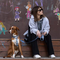 Шлейка MARINE NATURALS Zee.Dog