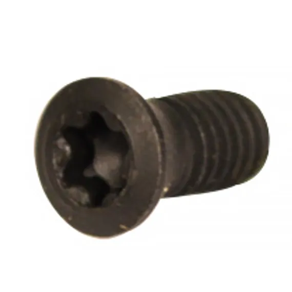 Винт AGP для крепления пластин к фрезерной головке EB12, арт. 420-M04008070-50