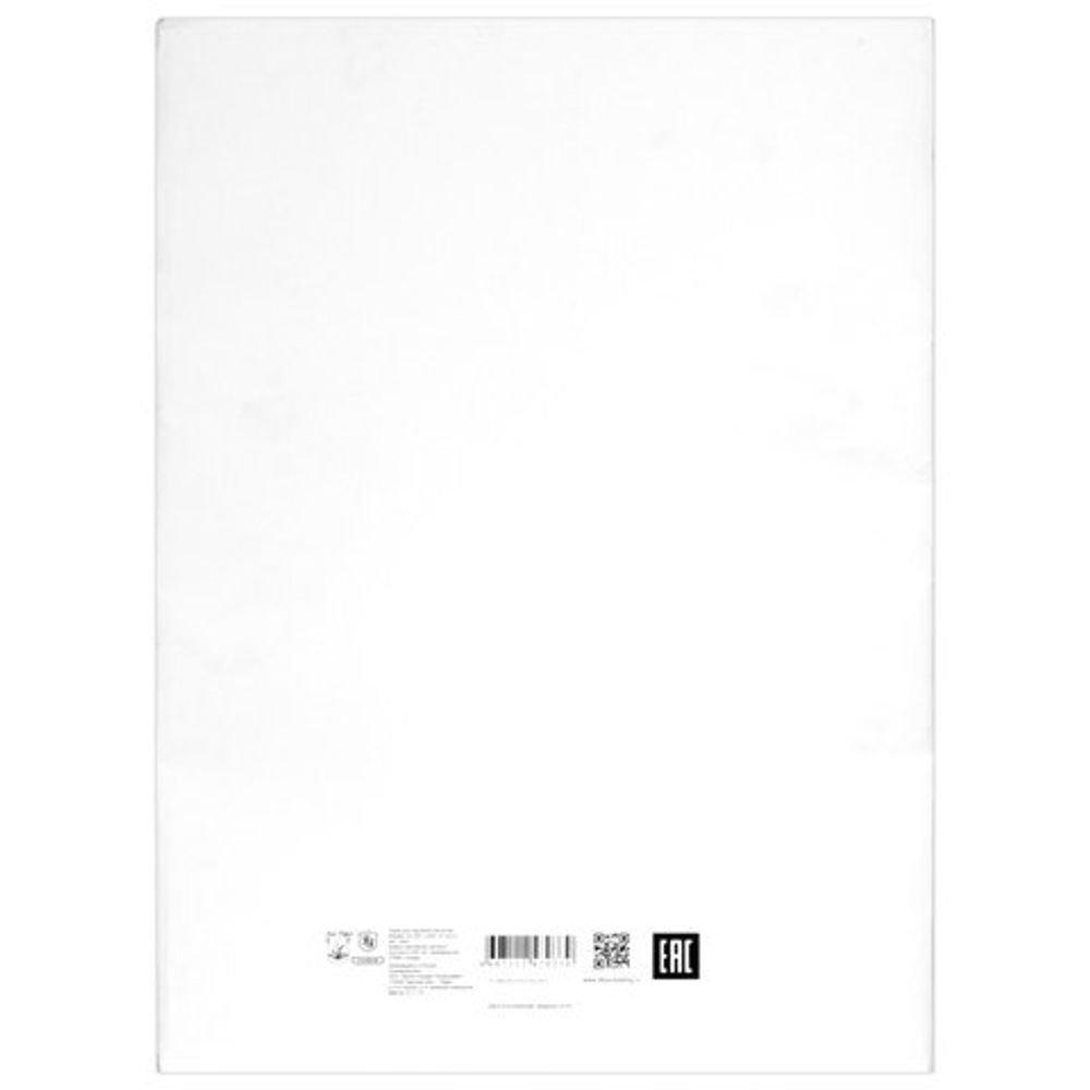 Папка для черчения БОЛЬШАЯ А3 297х420мм, 24л. 200г/м2, б/рамки, ватман СПБФ ГОЗНАК, 3с63