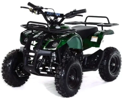 Квадроцикл MOTAX ATV Mini Grizlik X-16 (э/с)