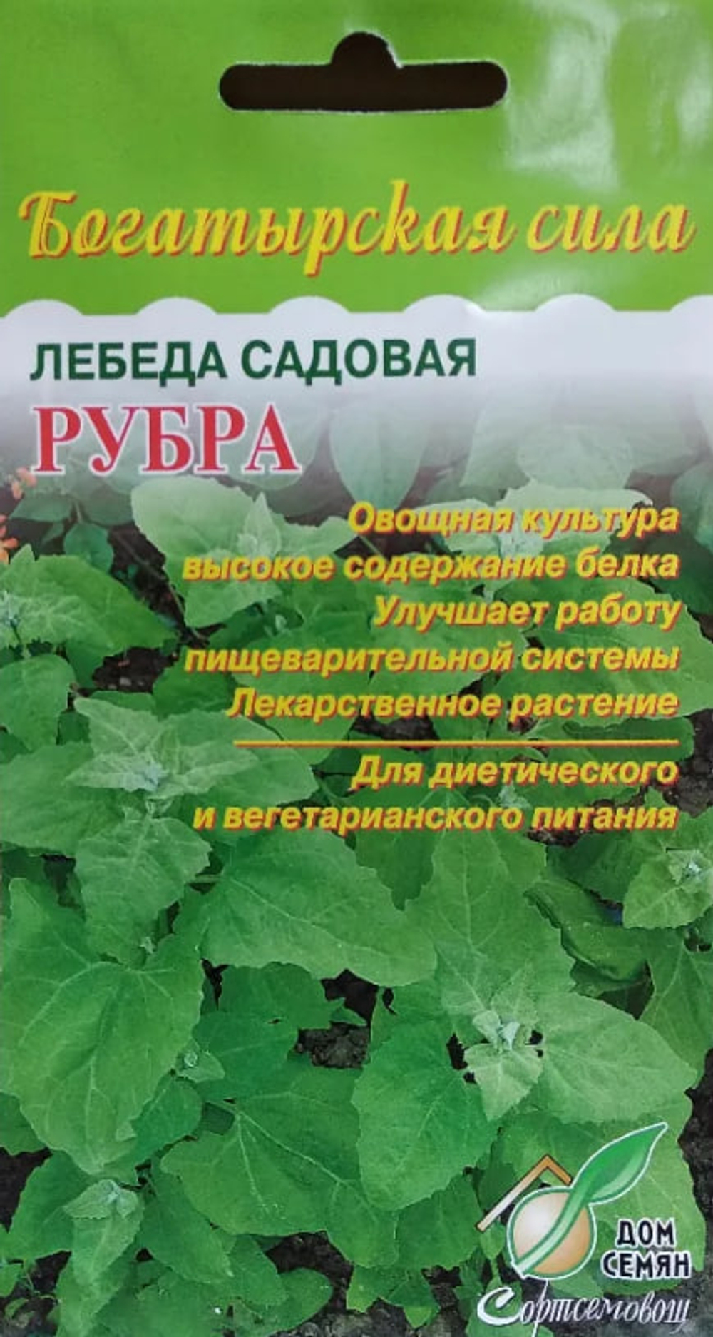 Лебеда Рубра садовая 20шт ССов