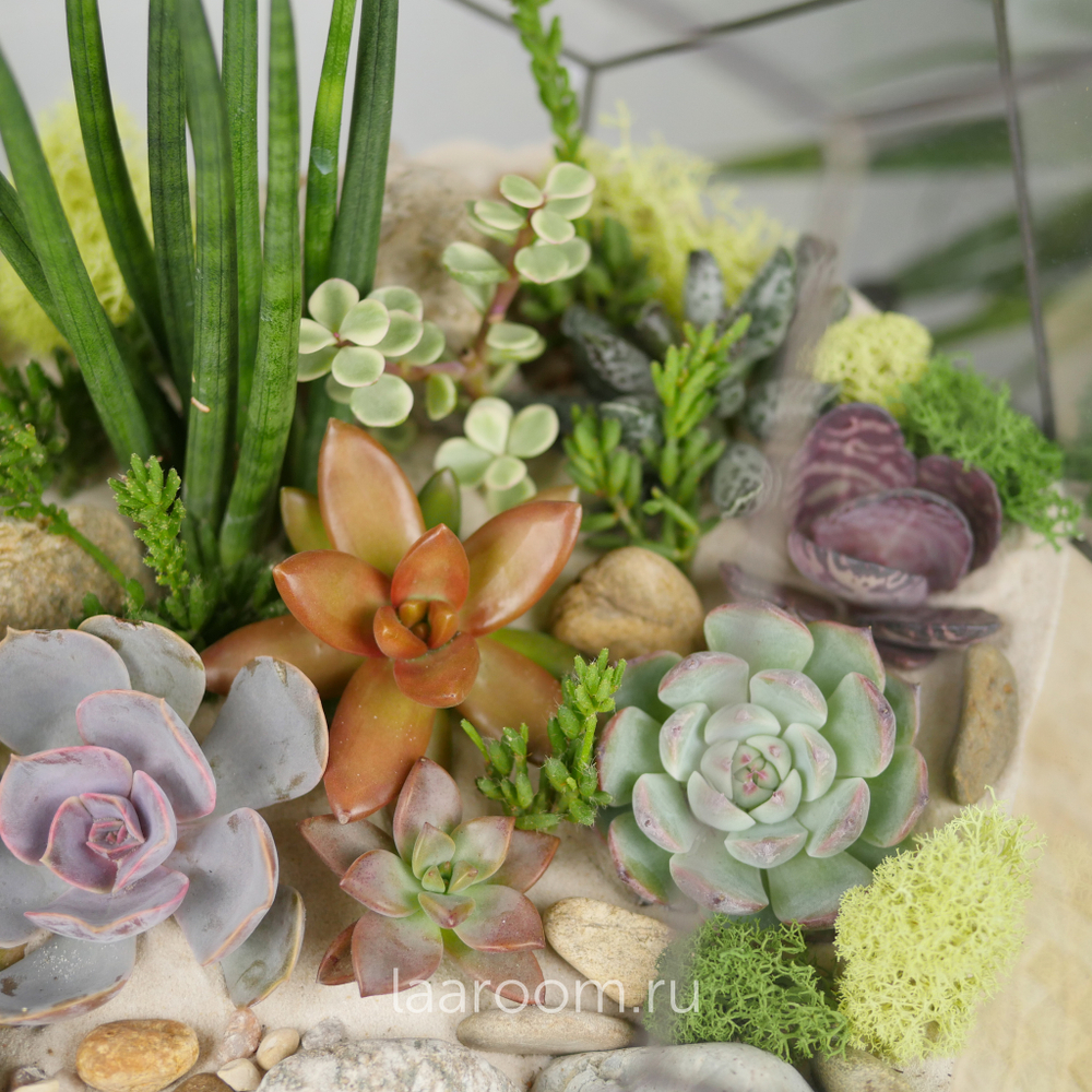Флорариум с суккулентами Марс с озером