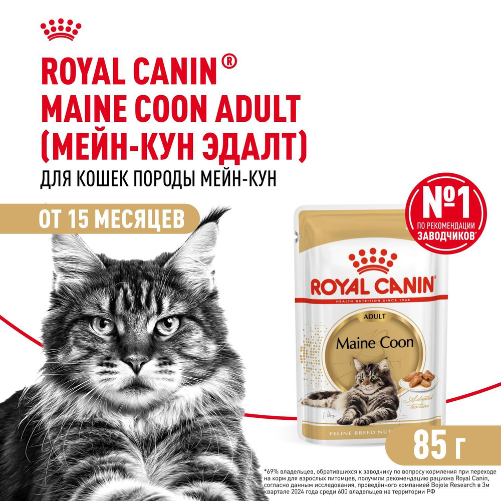 Royal Canin Maine Coon Adult Корм консервированный для взрослых кошек породы Мэйн Кун соус 85г
