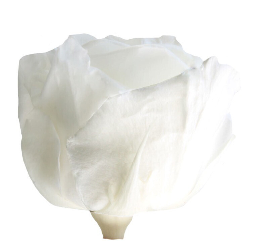 Стабилизированная роза 27 см.