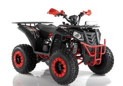 Квадроцикл WELS ATV Thunder 200 Evo X