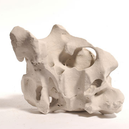 Камень Сыр-мааздам морской белый 10-15 см