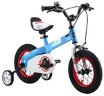 Детский велосипед Royal Baby Honey Steel 14 (2019)