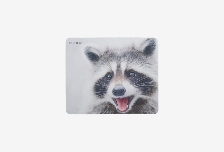 DEXP Racoon OM-XS_0126522102551