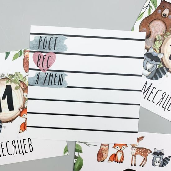 Набор открыток "Animals"