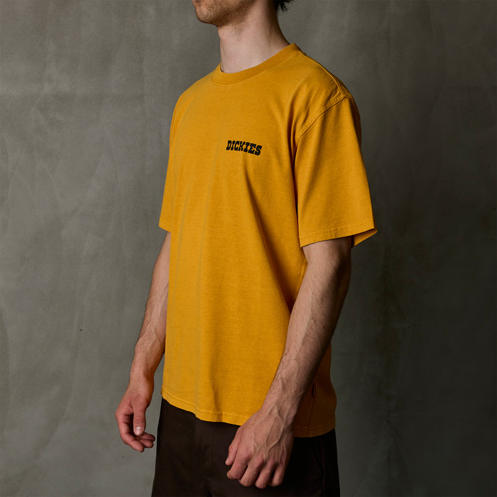 Футболка мужская Dickies Darrtown Short Sleeve Tee 