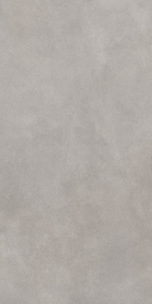 GT1206017701MR Керамогранит Cassini_GT Серый 60x120