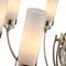 Подвесная люстра ST Luce Elegra SL1402.253.06