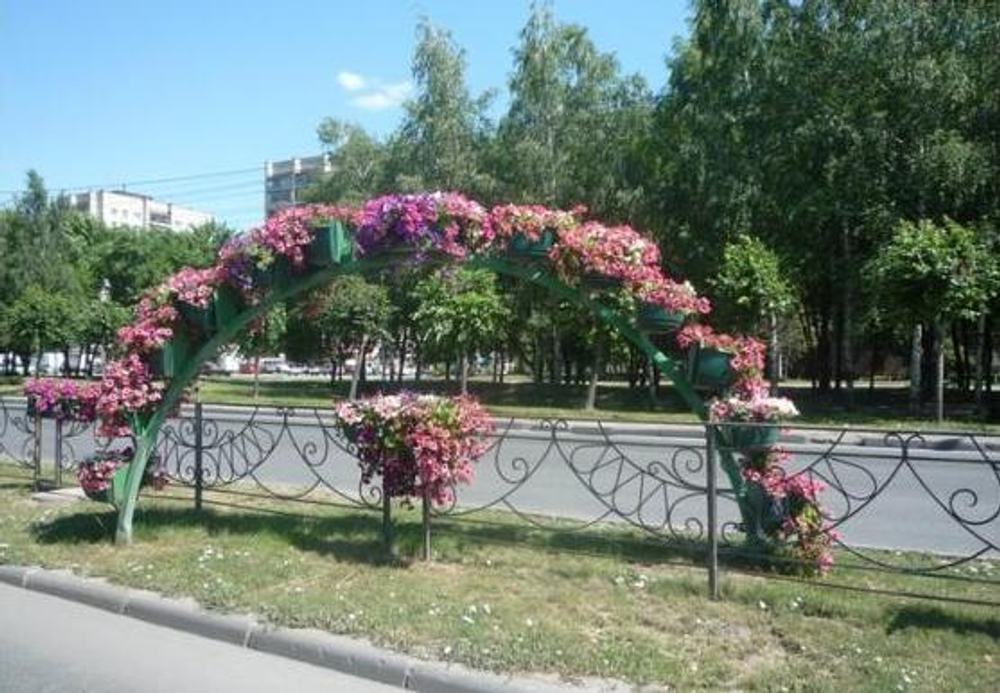 Арка Сказка