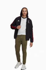 Кофта adidas World Cup 2022 Emblem