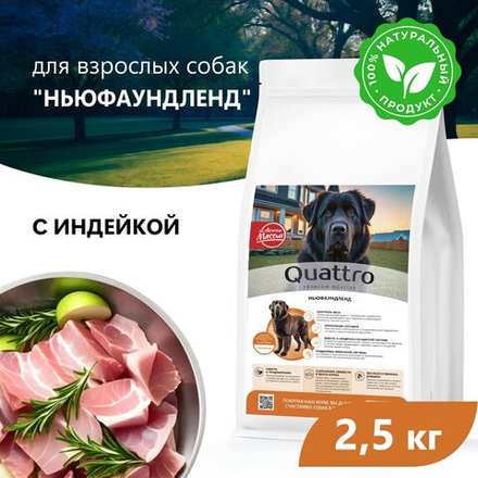 Корм сухой для взрослых собак породы Ньюфаундленд, премиум полнорационный комплекс, с индейкой, 2,5 кг, QUATTRO