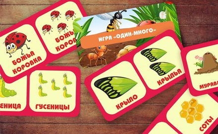 Игра "Один - много. Насекомые"