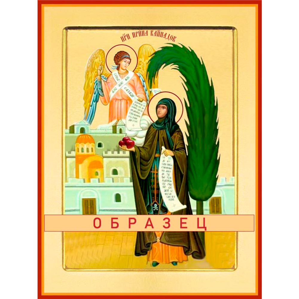 Преподобная Ирина Каппадокийская Прп-141 (прп/И/8/1)