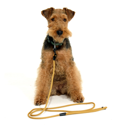 Поводок Weekend Doglea