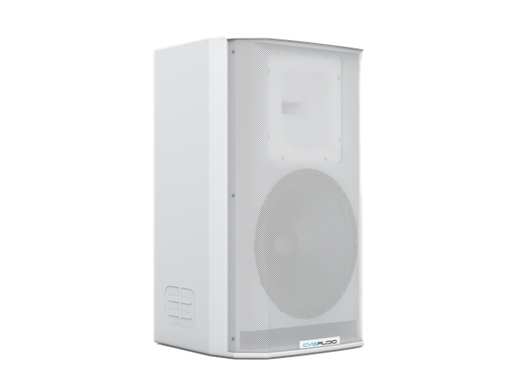 CVGAUDIO BEATBOMBER SAT-S12W - профессиональная инсталляционная 2-х полосная акустическая система