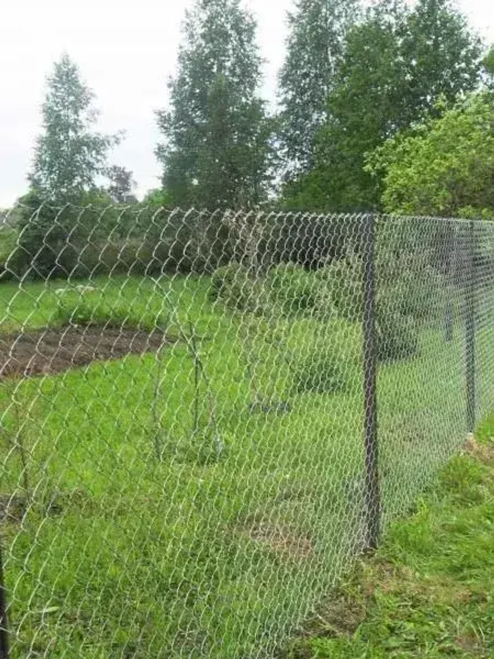 Сетка рабица 50х50мм 1,5х10м, d1,6мм