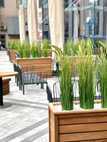 Озеленение искусственными осоками отеля "Hilton" г.Краснодар