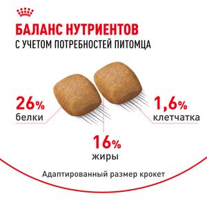 Уценка! Срок 09.2025/Сухой корм Royal Canin Pomeranian Adult для взрослых собак породы Померанский Шпиц