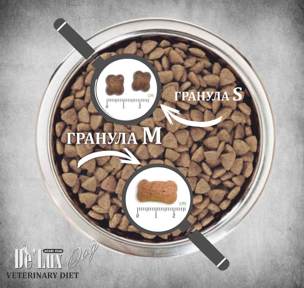 Гранулы
