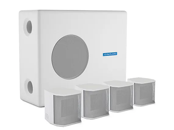 CVGAUDIO SUBSET-W / SAT-S3 - профессиональный пассивный комплект