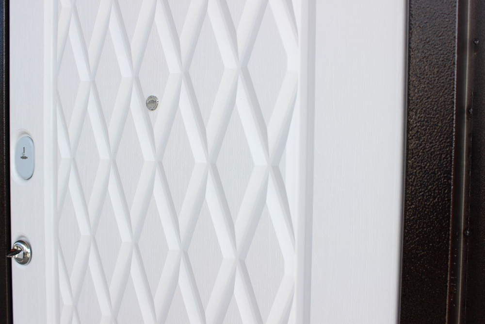 Дверь входная Лидер