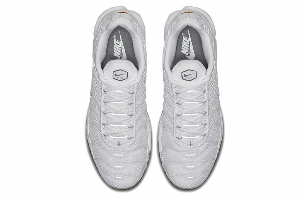 Кроссовки Nike Air Max Plus