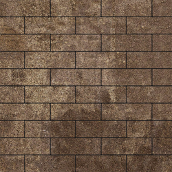 Тротуарная плитка ПРЯМОУГОЛЬНИК 300х100 мм - Листопад гранит Хаски