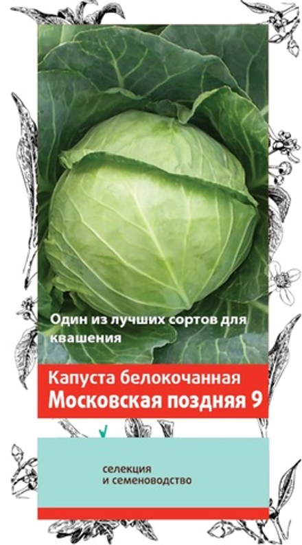 Капуста белокочанная Московская поздняя 9