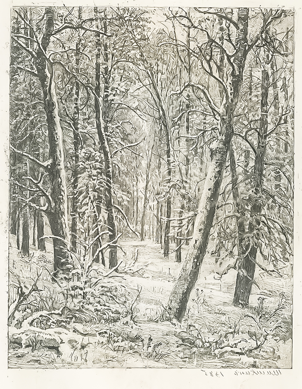 Шишкин Иван Иванович. Зима. Бумага, офорт. 1885–1891 гг.
