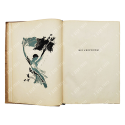 Овидий Назон П. Метаморфозы. Худ. Л.Е. Фейнберг. Л. Academia, 1937.