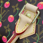 Louis Vuitton Speedy 25