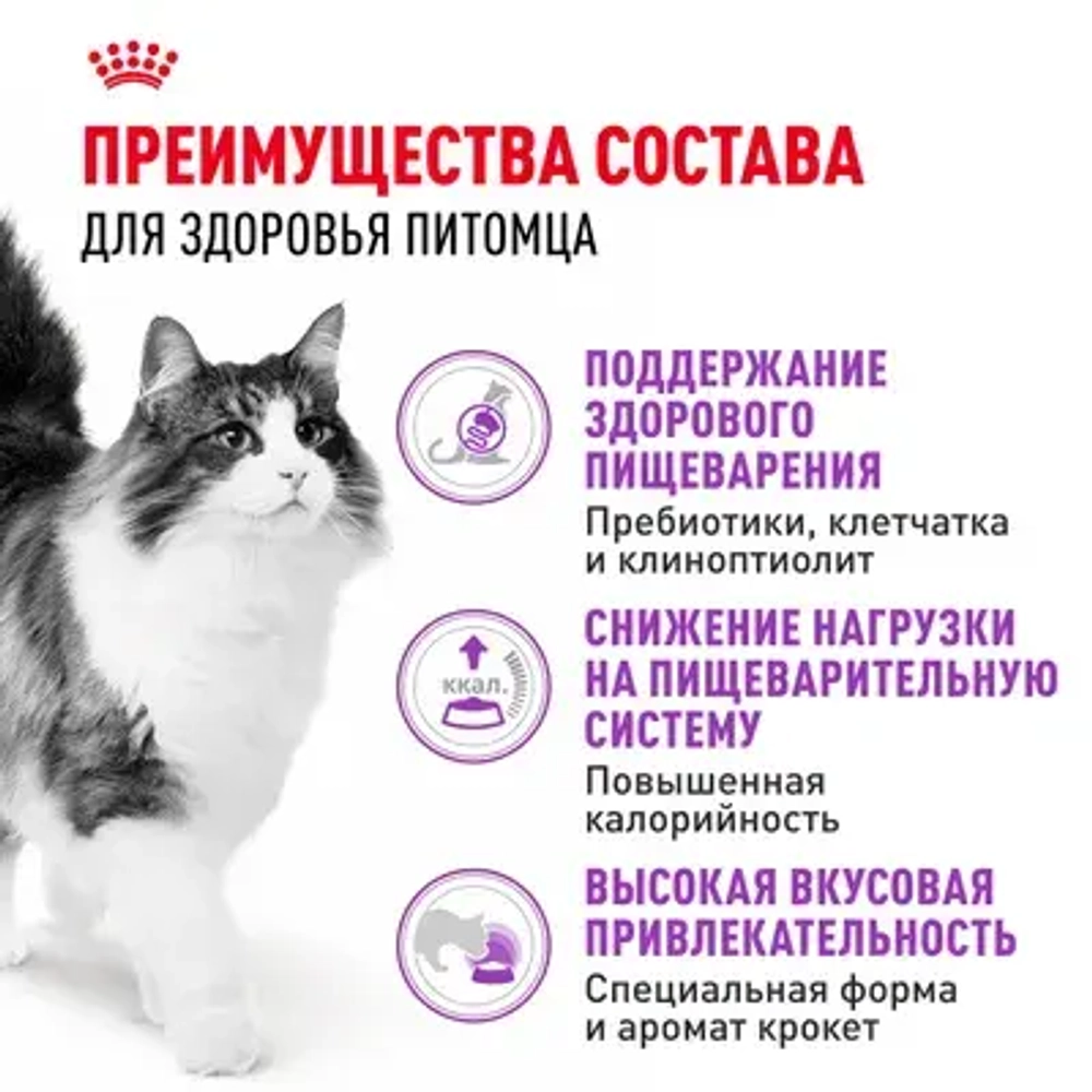 ROYAL CANIN (Роял Канин) Sensible Корм сухой сбалансированный для взрослых кошек с чувствительной пищеварительной системой, 1,2 кг