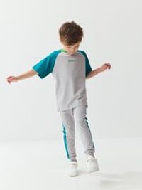 Футболка Колор блок "Пепел/Изумруд"