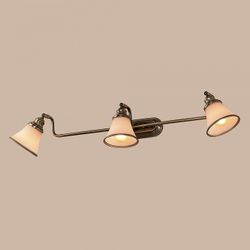 Спот Citilux Прованс CL511533