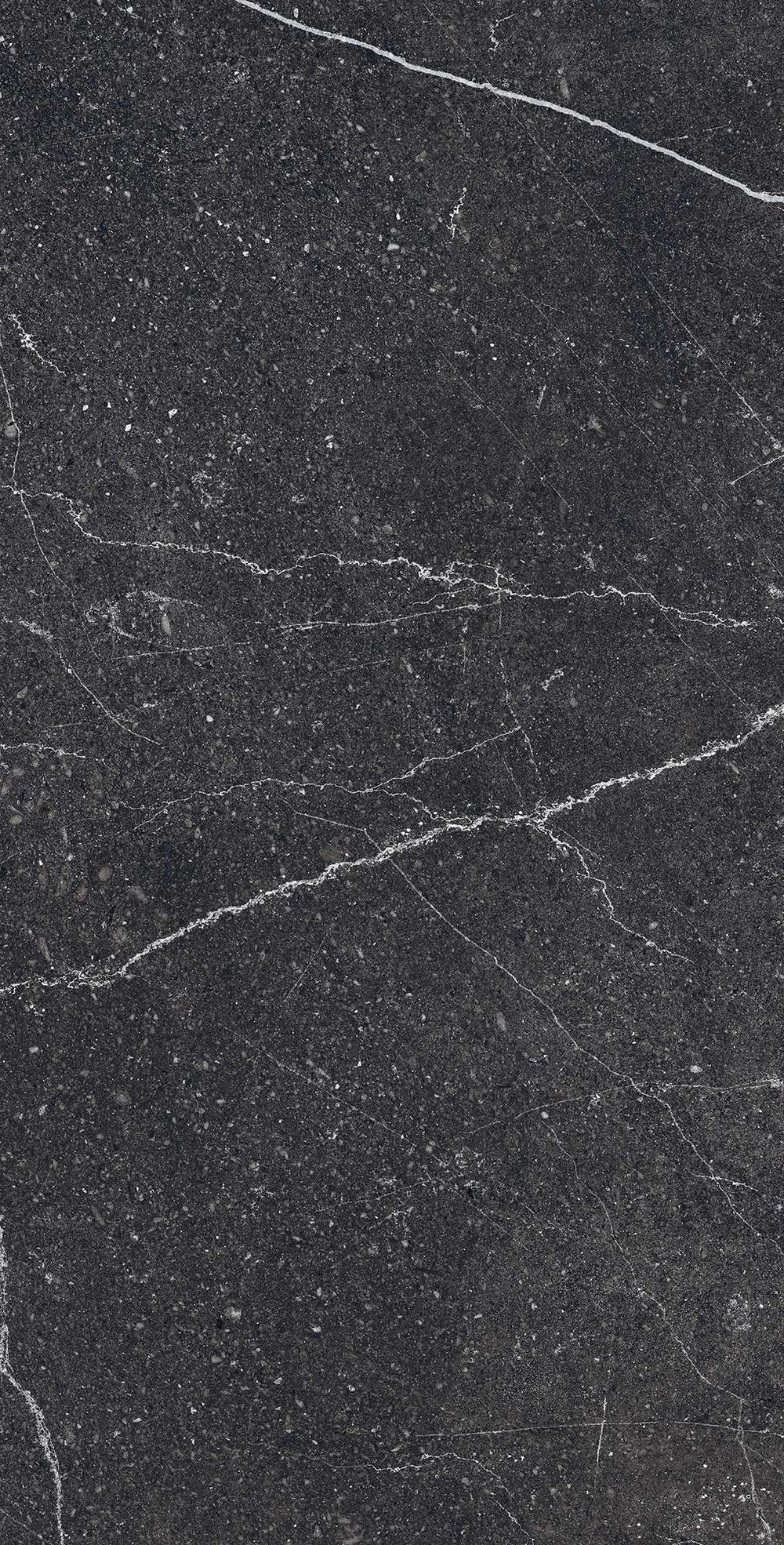 Керамогранит, Arcadia Ceramica, EQUISTONE CHARCOL, 1200x600 мм, матовая с микрогранулами