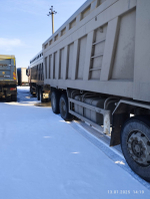 Shacman (Shaanxi) SX* 8x4 Самосвал SX331863366 (Дизельный, 12,5 л, 544 л.с., МТ)