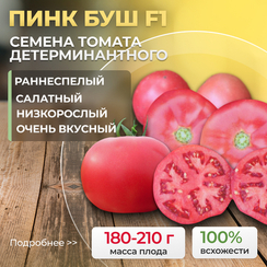 ПИНК БУШ F1 семена томата (Sakata | Alexagro)