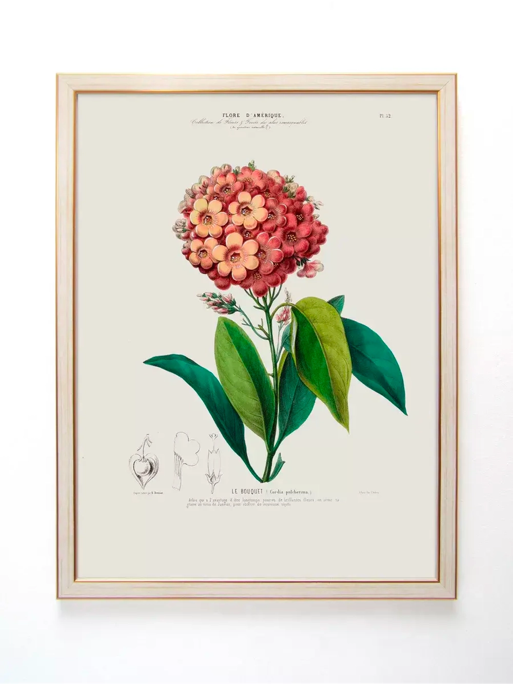 Постер настенный в багетной раме "Ботаника" 42*32 см