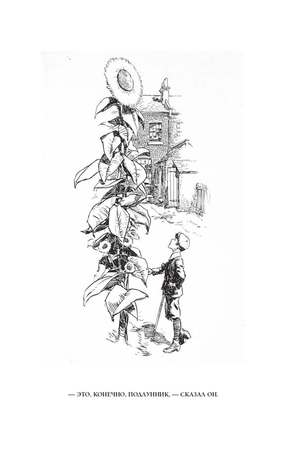 Удача Дики Хардинга