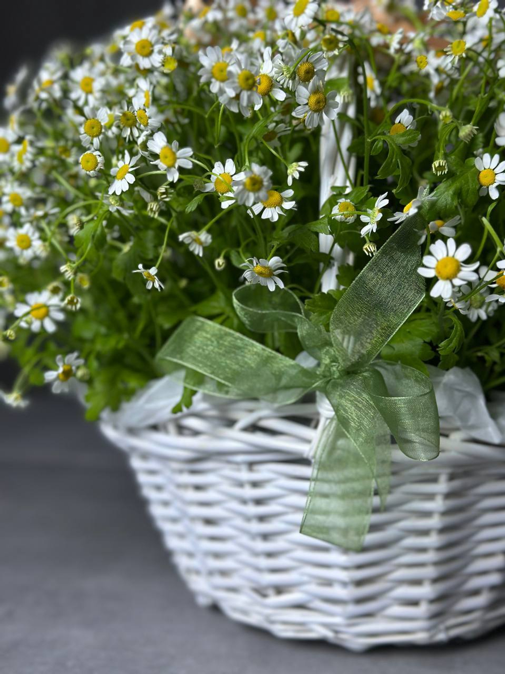 Яркая корзинка ромашек