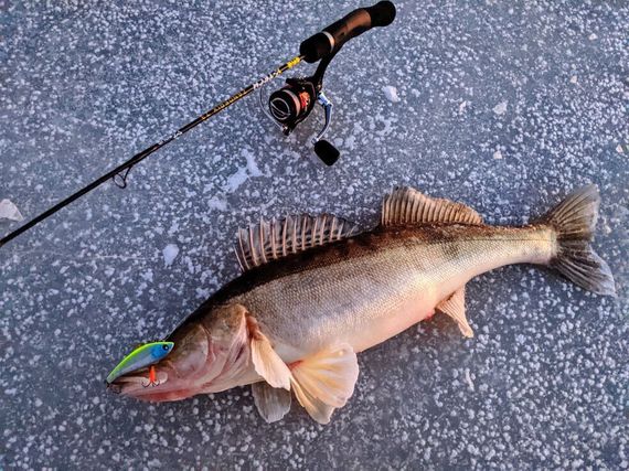 Воблер тонущий вертикальный LJ Pro Series BASARA VIB S 80.00/147